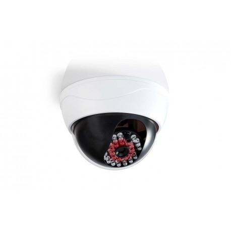 Caméra de sécurité factice DUMCD20WT