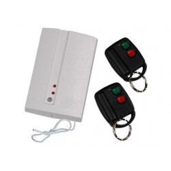 Ensemble de télécommande 2 canaux SET100T