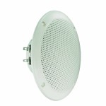 FR 13 WP - 4 Ohm (blanc) - Haut-parleur large bande 13 cm (5") résistant à l'eau salée  - 3