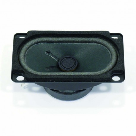 Haut-parleur large bande 5 x 9 cm (2" x 3,5") à blindage magnétique  - 1