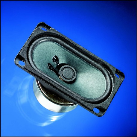 Haut-parleur large bande 5 x 9 cm (2" x 3,5") à blindage magnétique  - 2