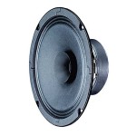 Haut-parleur large bande BG 17 - 8 Ohm -16 cm (6,5")  - 1