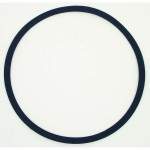 FR 10 WP - 4 Ohm (noir) - Haut-parleur large bande 10 cm (4") résistant à l'eau salée  - 2