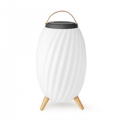 Haut parleur Bluetooth avec lumière d'ambiance  - 1