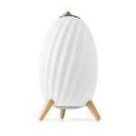 Haut parleur Bluetooth avec lumière d'ambiance  - 4