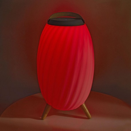Haut parleur Bluetooth avec lumière d'ambiance  - 7