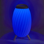 Haut parleur Bluetooth avec lumière d'ambiance  - 8