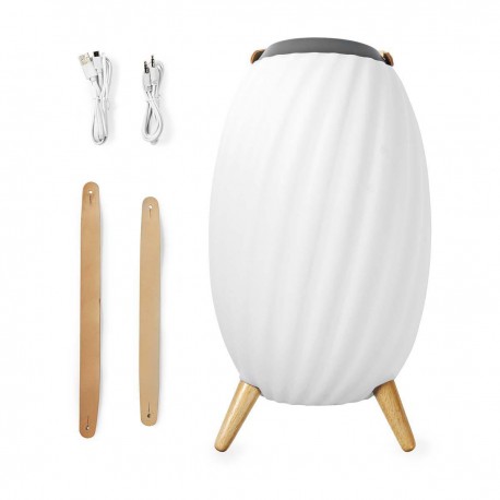 Haut parleur Bluetooth avec lumière d'ambiance  - 12