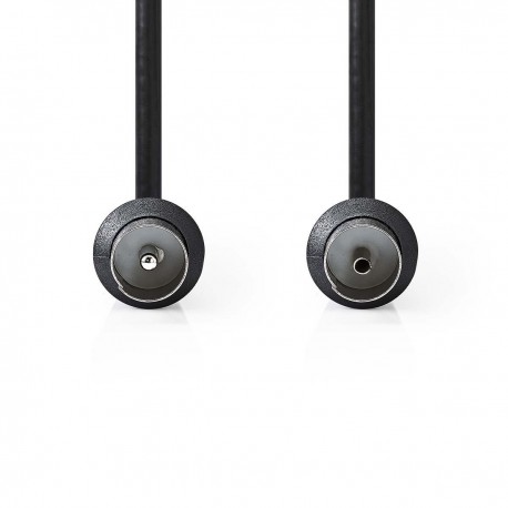 câble Coax  - 2