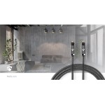 Câble audio optique  - 8