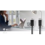 Câble Display Port  - 4