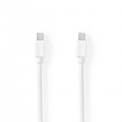 Mini câble Display Port  - 1