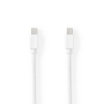 Mini câble Display Port  - 1