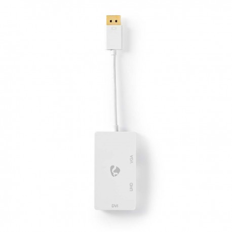 adaptateur DisplayPort  - 1