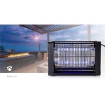 Lumière piège à mouches  - 6