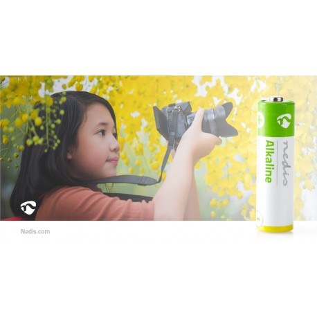 Piles alcalines AA  - 4