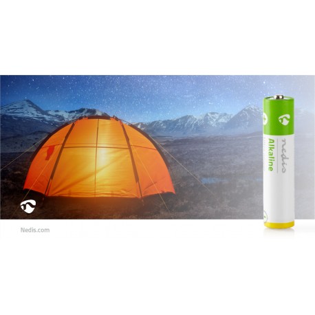 Piles alcalines AAA  - 6