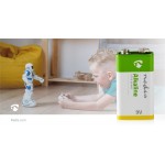 Pile Alcaline 9 V  - 3