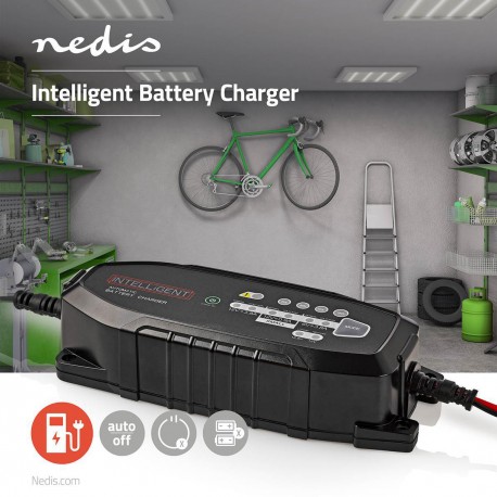 Chargeur de batterie en plomb acide  - 2