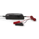 Chargeur de batterie en plomb acide  - 3