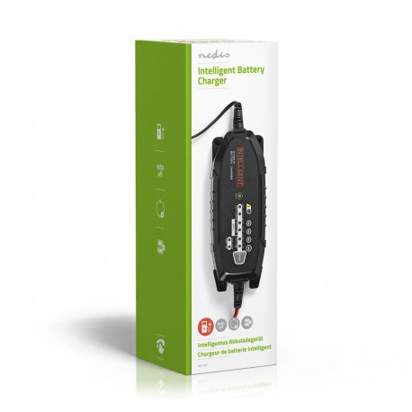 Chargeur de batterie en plomb acide  - 7