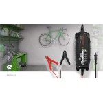 Chargeur de batterie en plomb acide  - 9