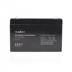 Pile rechargeable plomb-acide  - 1