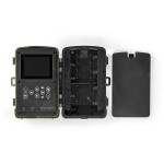 Camera de la faune  - 9