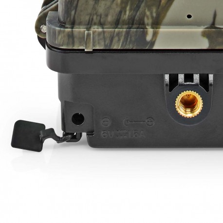 Camera de la faune  - 10