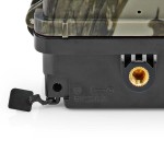 Camera de la faune  - 10