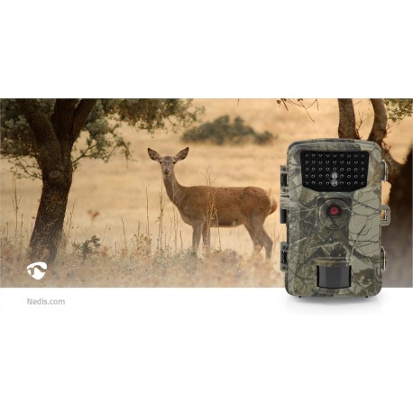 Camera de la faune  - 17