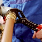 Pince multiprise 250 mm  - 9