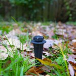 Pointe De Terre  - 5