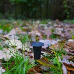 Pointe De Terre  - 6