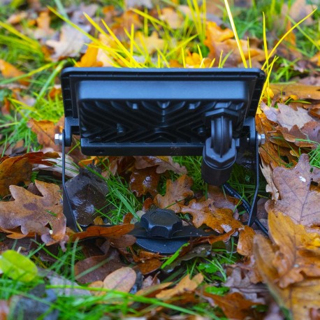 Pointe De Terre  - 8