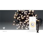 LED Décorative SmartLife  - 12