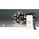 LED Décorative SmartLife  - 12