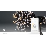 LED Décorative SmartLife  - 12