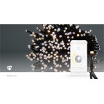 LED Décorative SmartLife  - 12