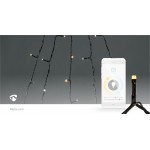 LED Décorative SmartLife  - 15