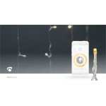 LED Décorative SmartLife  - 12