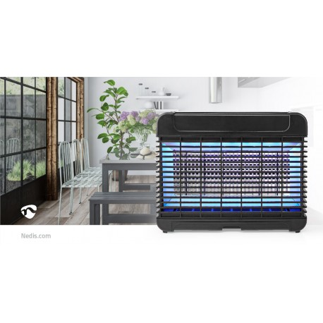 Lumière piège à mouches  - 12