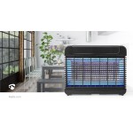 Lumière piège à mouches  - 12