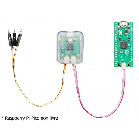 Exemple d'utilisation de la Sonde de débogage Debug Probe pour sur une Raspberry Pi Pico