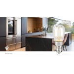 Ampoule pour Réfrigérateur  - 9