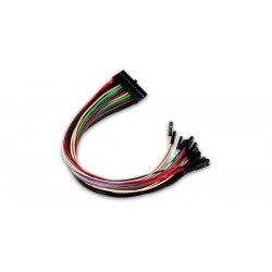 Cordon de raccordement 2x12 pour Analog Discovery Pro 3000