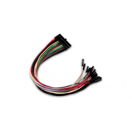 Cordon de raccordement 2x12 pour Analog Discovery Pro 3000