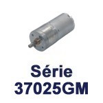 Motoréducteurs 37025GM (25 mm)