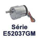 Motoréducteurs E52037GM (37 mm)