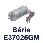 Motoréducteurs E37025GM (25 mm)